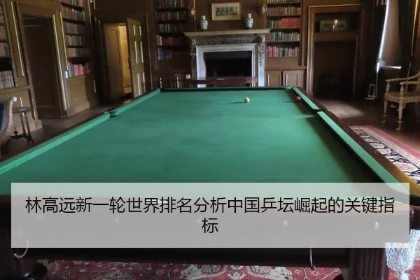 lin-gao-yuan-xin-yi-lun-shi-jie-pai-ming-fen-xi-zhong-guo-ping-tan-jue-qi-de-guan-jian-zhi-biao-2-377.jpg